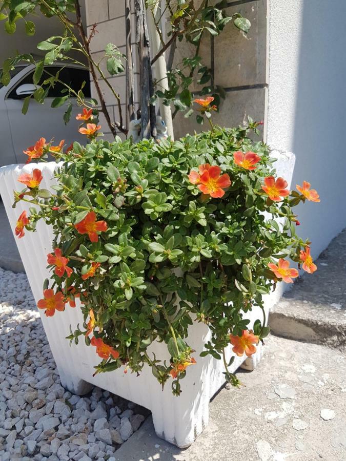 Apartmani I Studio Big Hill Makarska Zewnętrze zdjęcie
