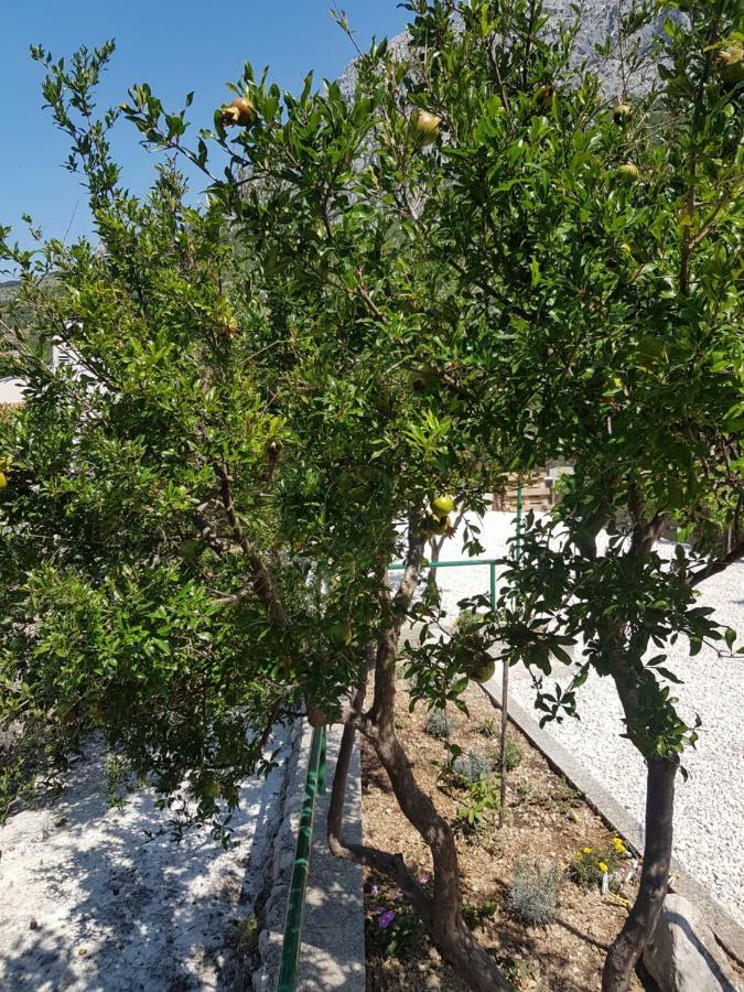 Apartmani I Studio Big Hill Makarska Zewnętrze zdjęcie